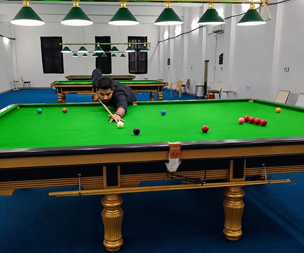 Snooker Field