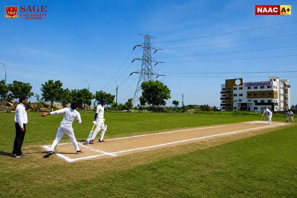 Cricket Ground